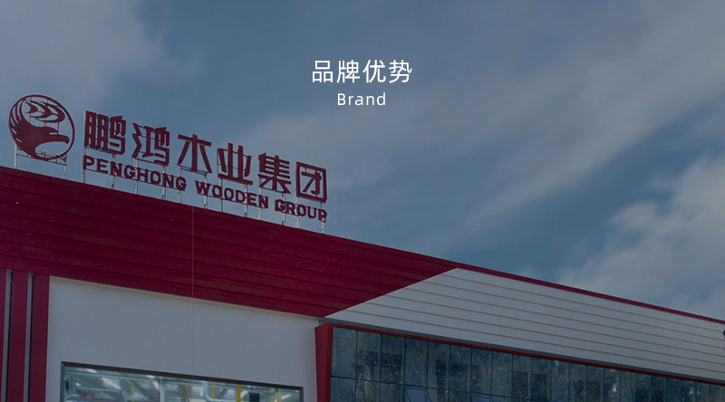 板材品牌、全屋定制品牌、生態(tài)板十大品牌