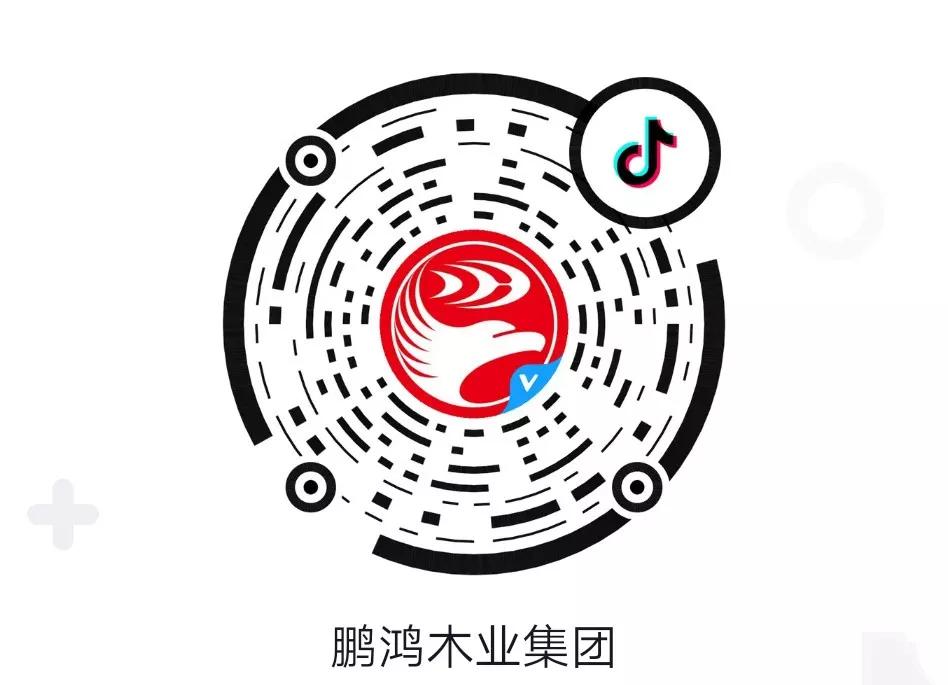 這廂有禮丨這個春節(jié)我最鴻，抖音相伴幸福年