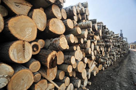 生態(tài)板原材料 生態(tài)板原材料